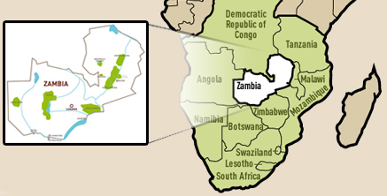 About Zambia